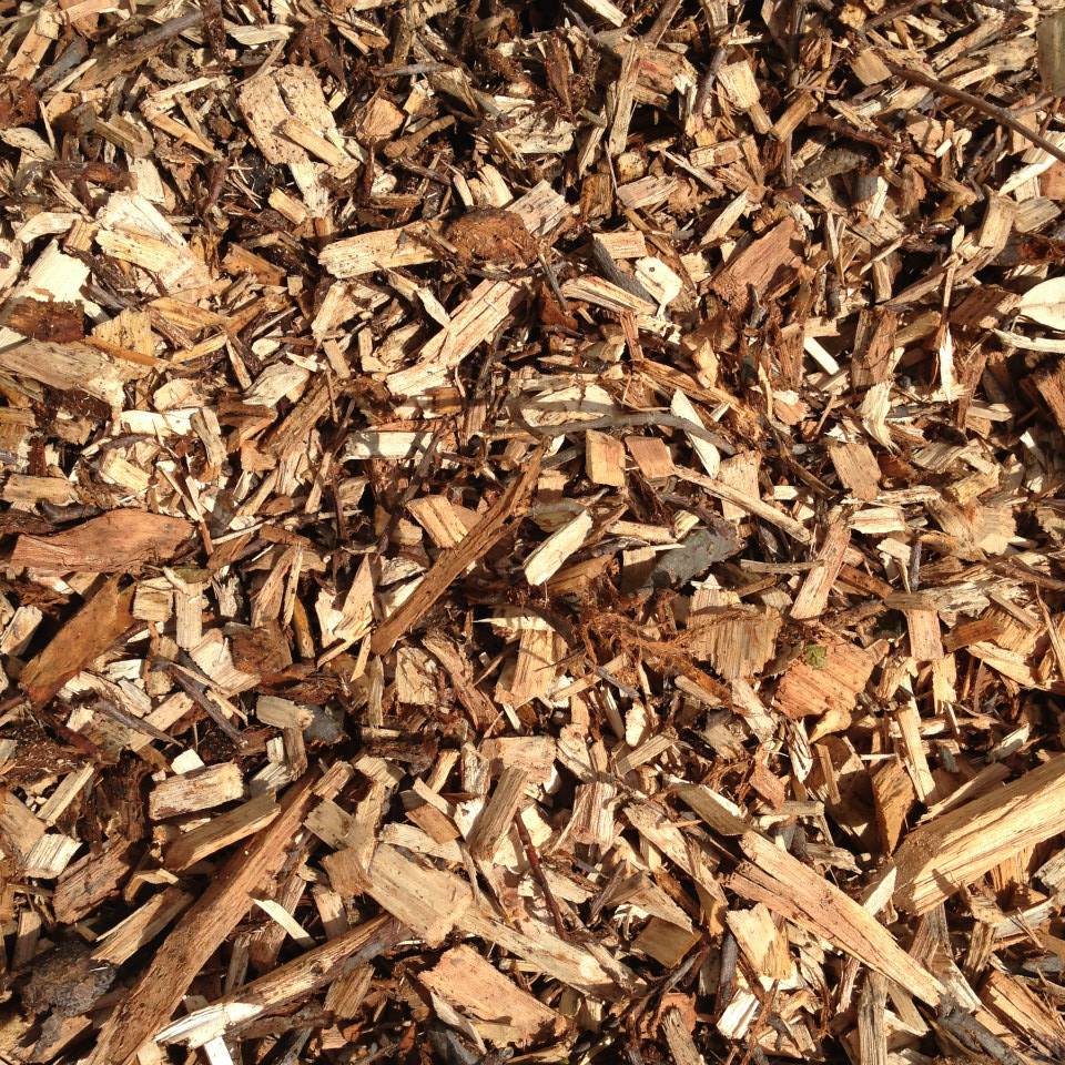 Forest Mulch Forest Mulch